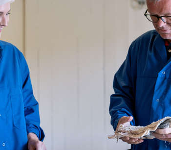 To personer snakker sammen på tørrfisk-fabrikk