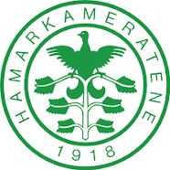 HamKam logo