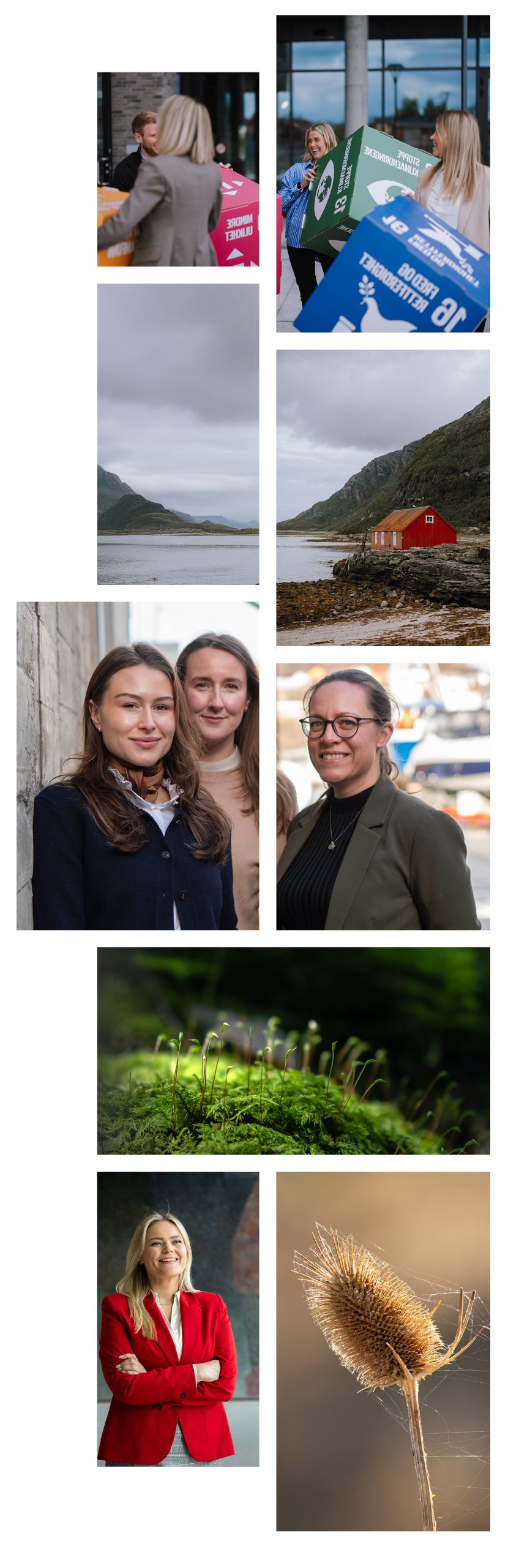 Collage bærekraft