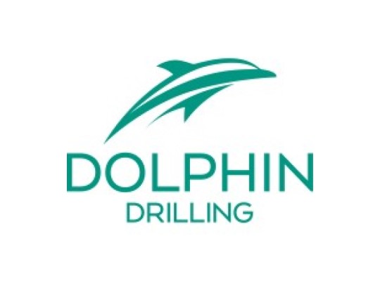 dolphin drilling logo