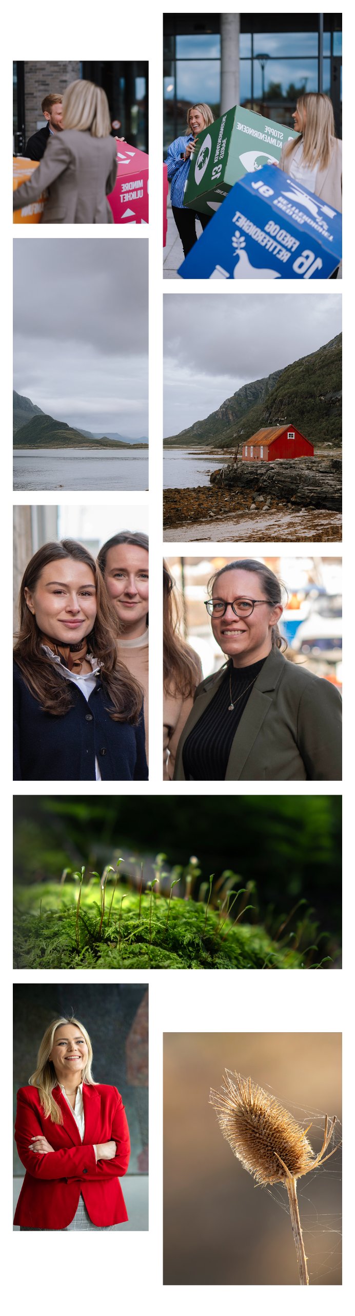 Collage bærekraft