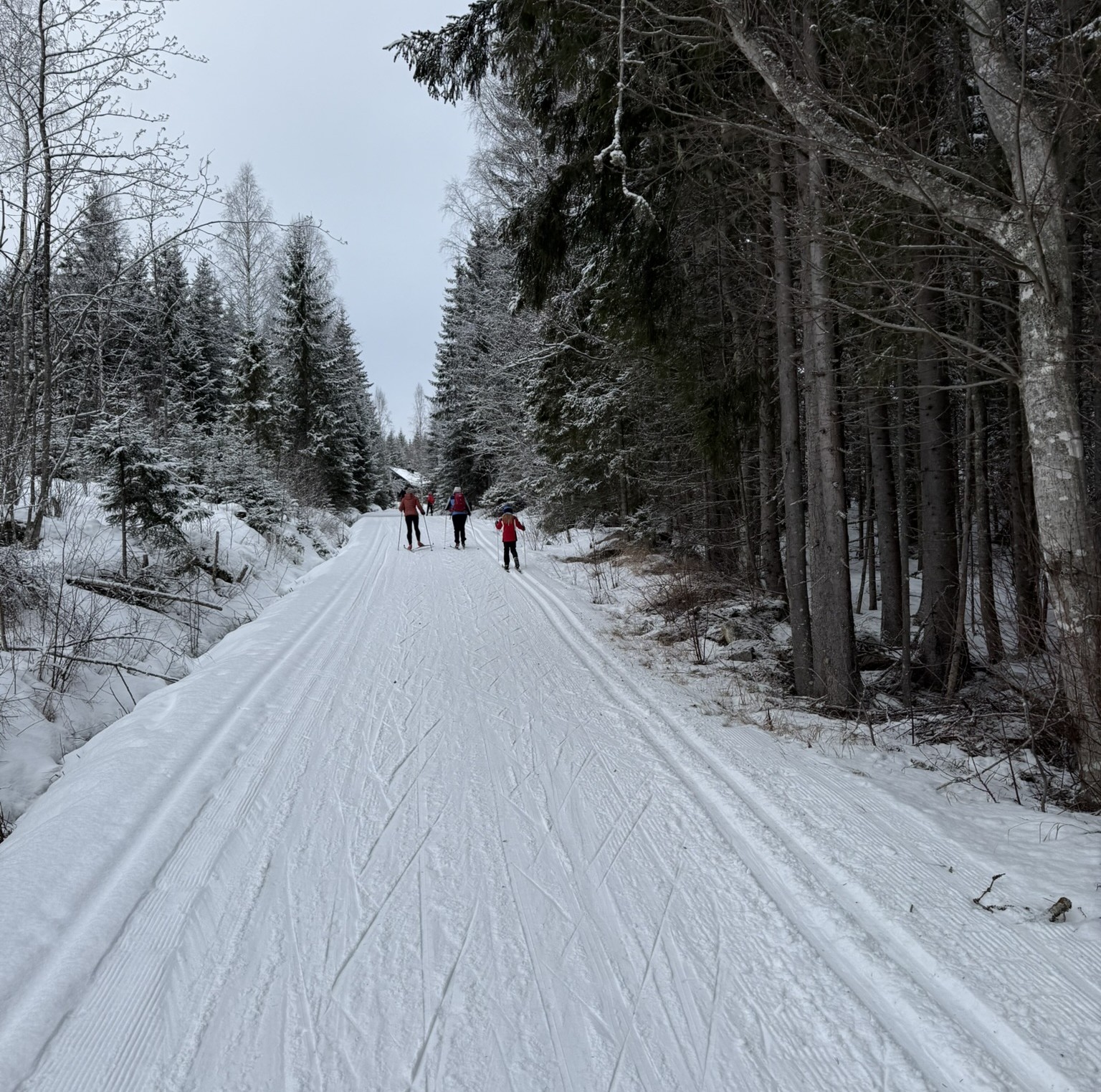 Kongsvinger lysløype