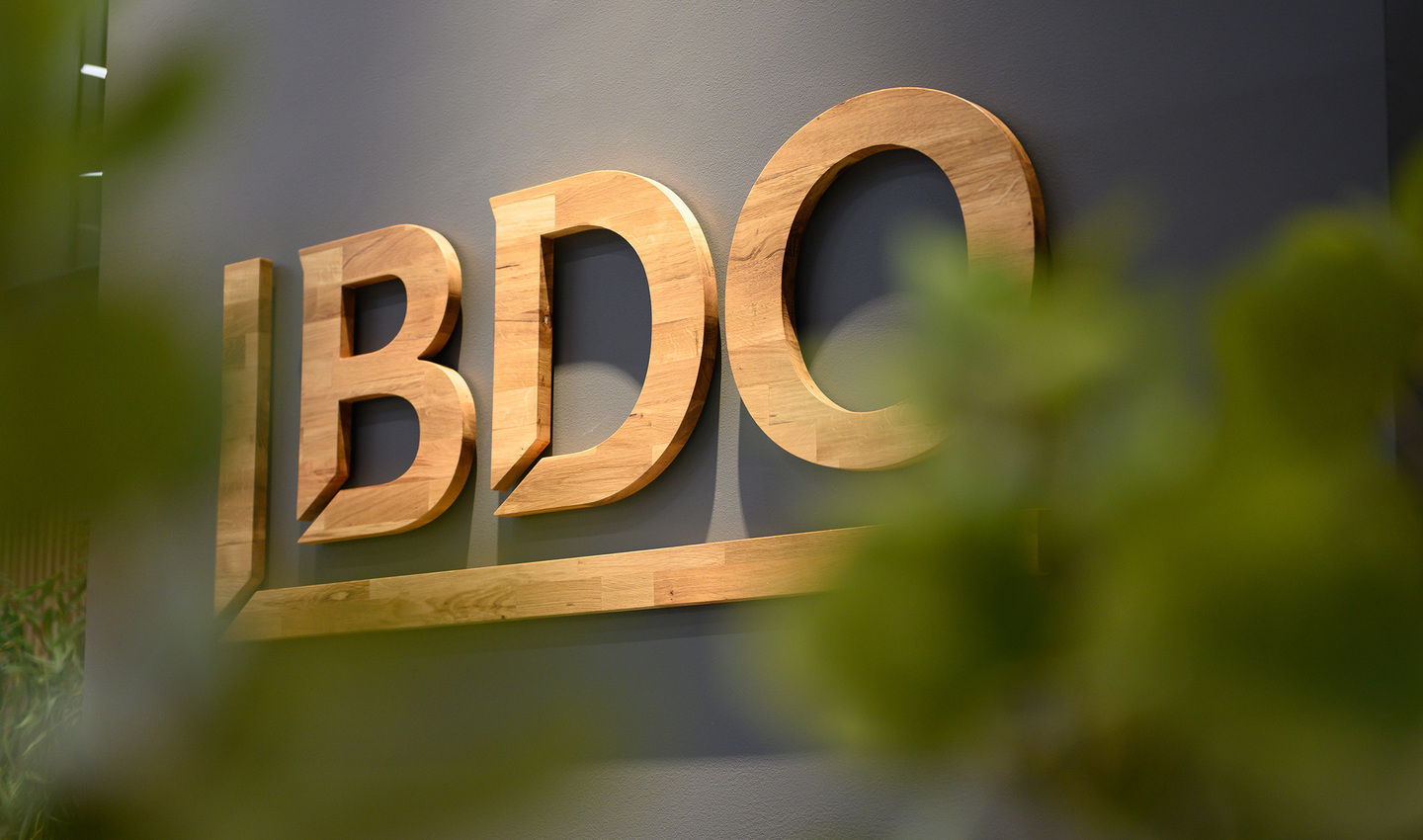 BDO logo