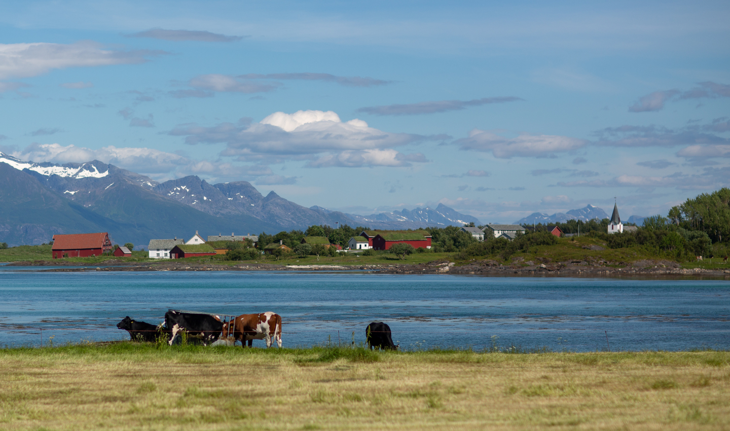 strandsonen