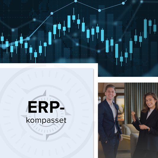 ERP-kompasset