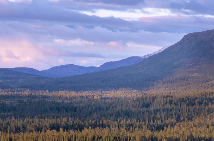 Landskapsbilde fra Verdal